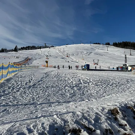 Bergoase-Apart Am Feldberg Feldberg  Exterior photo