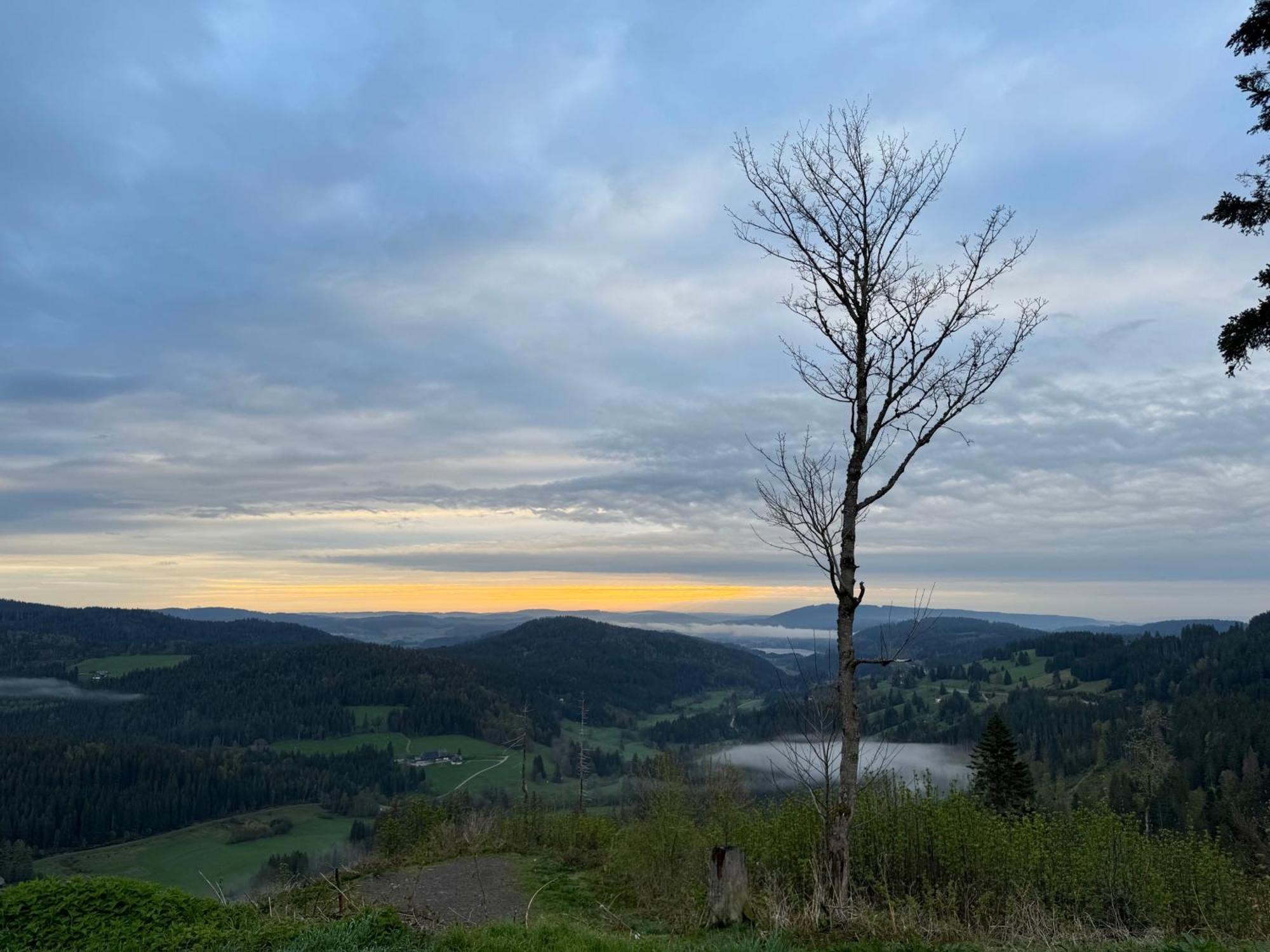 Apartment Bergoase-apart Am Feldberg