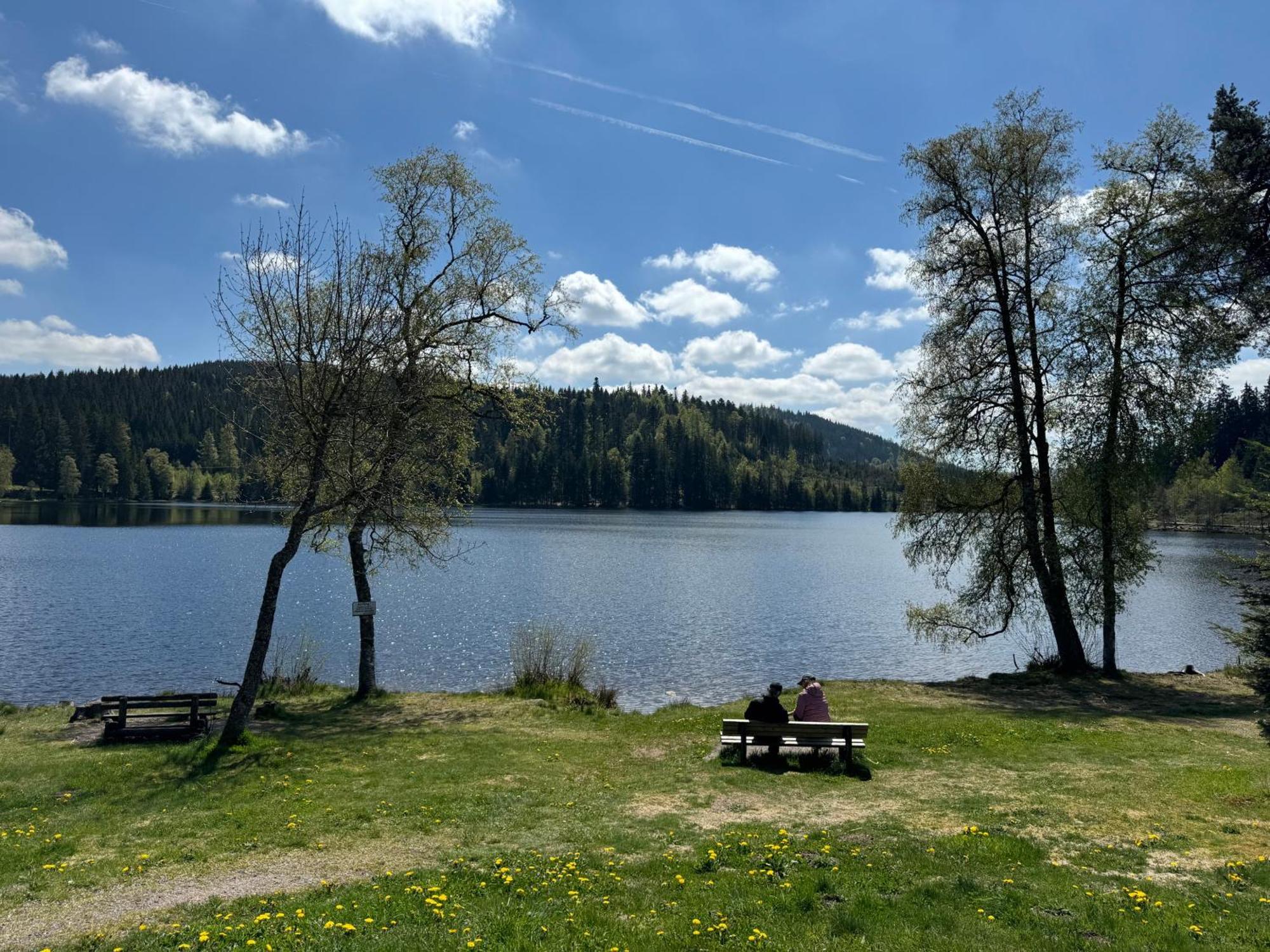Bergoase-apart Am Feldberg * Feldberg (Baden-Wurttemberg)