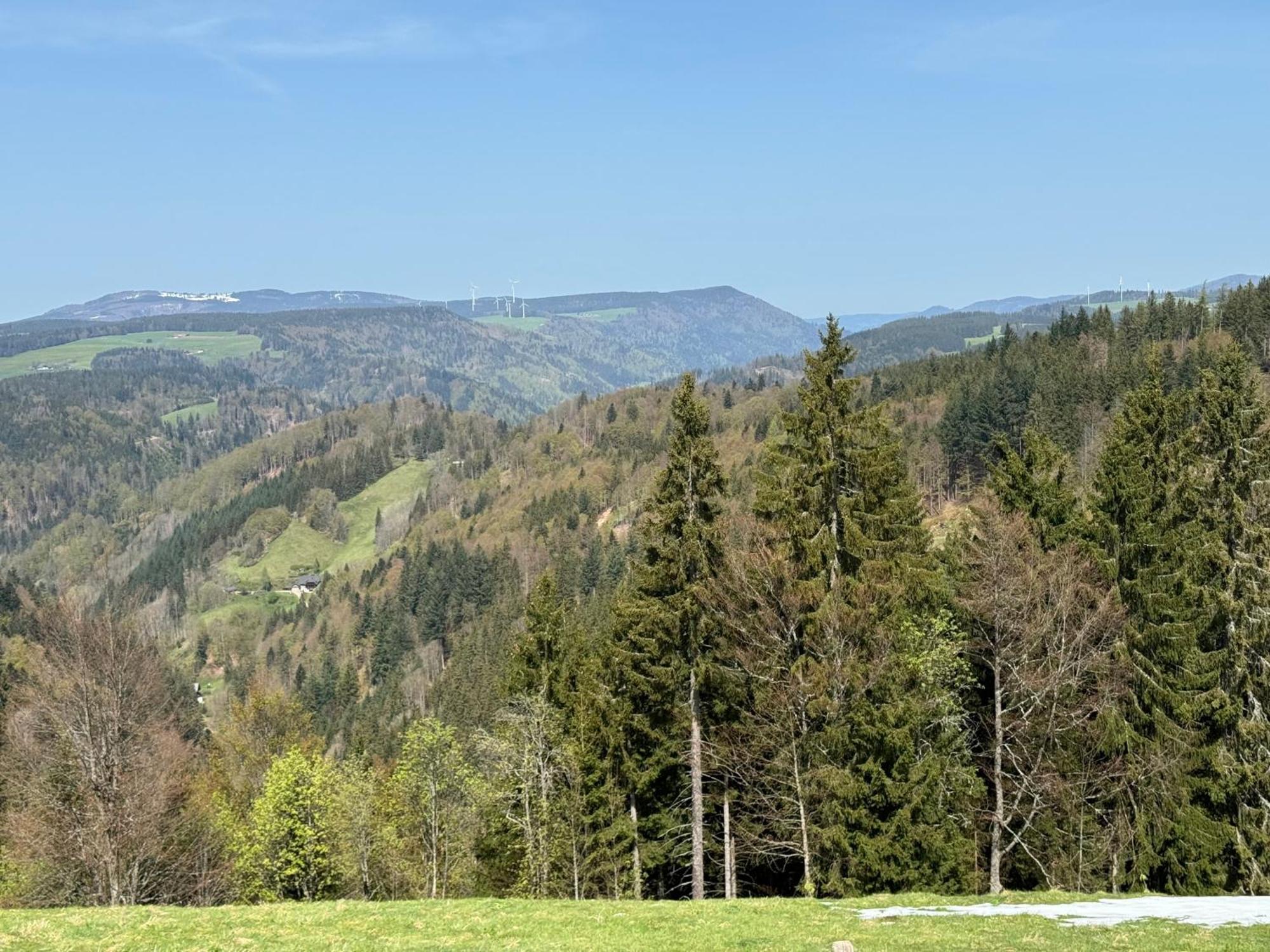 Bergoase-apart Am Feldberg Apartment Feldberg (Baden-Wurttemberg)